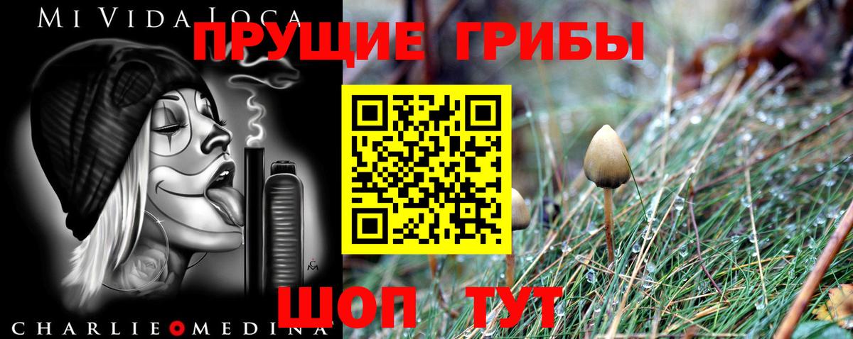 Галлюциногенные грибы Psilocybine cubensis  Вход с VPN  купить наркотики сайты  Белебей 