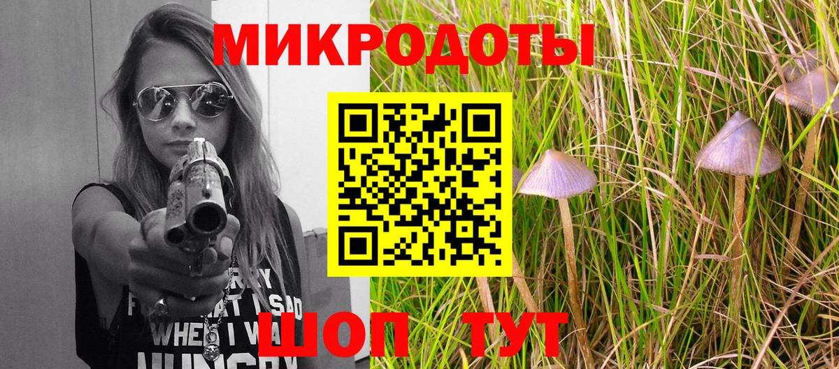 Псилоцибиновые грибы мицелий Белебей